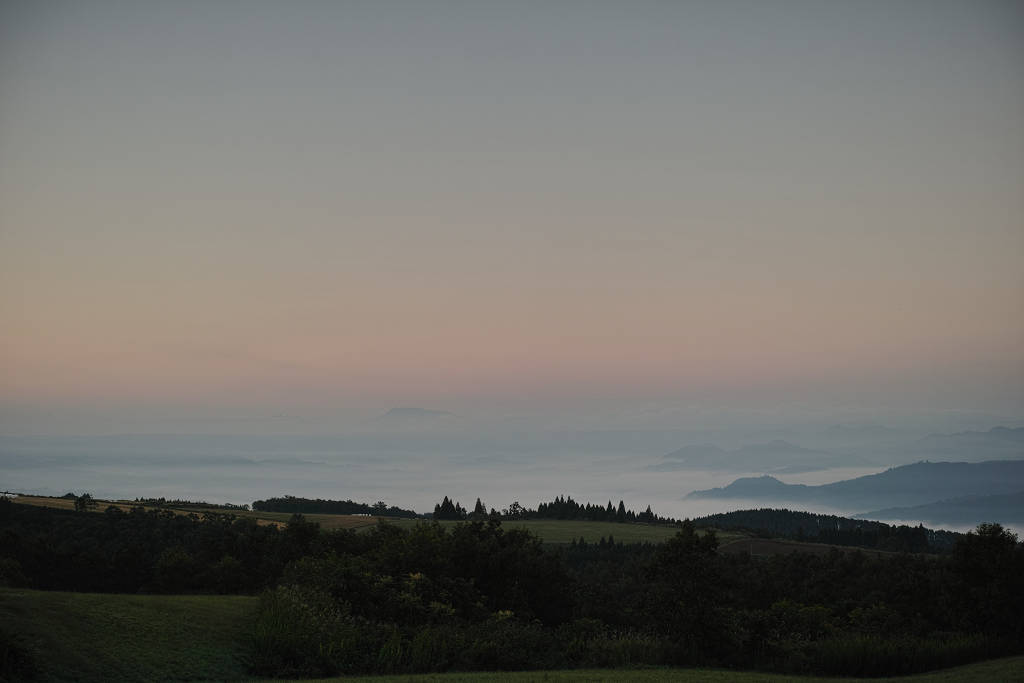 a0208113_910124.jpg