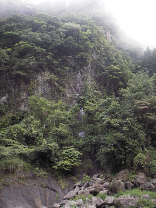 a0315918_2026719.jpg