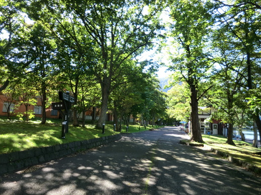 d0221319_10264761.jpg