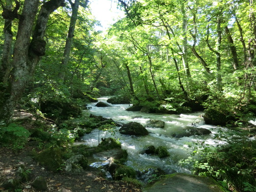 d0221319_1594662.jpg