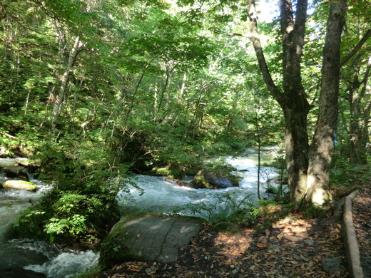 d0221319_1595999.jpg