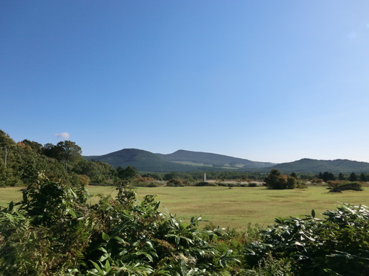 d0221319_159619.jpg