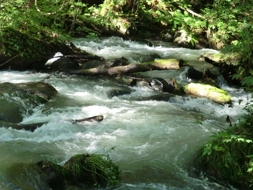 d0221319_20318.jpg