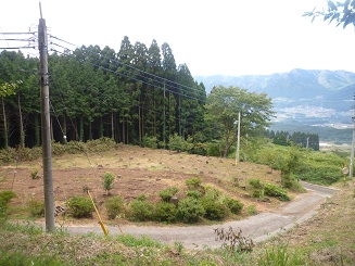 f0031420_847526.jpg