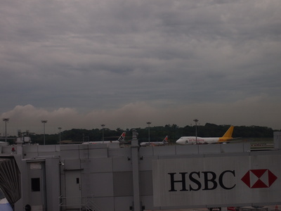 c0103830_1554684.jpg