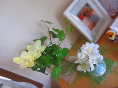 f0002833_230214.jpg