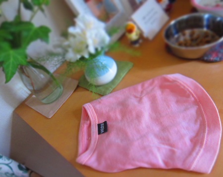 f0002833_2311583.jpg