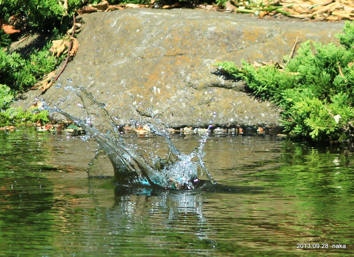 f0281533_18335911.jpg