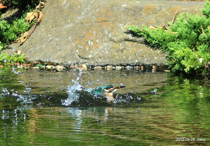 f0281533_1834176.jpg