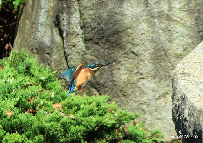 f0281533_18351054.jpg
