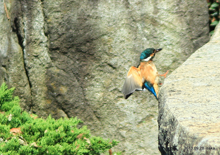 f0281533_18352511.jpg
