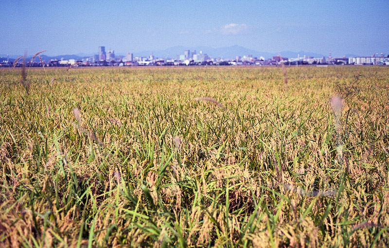 f0265234_214844100.jpg