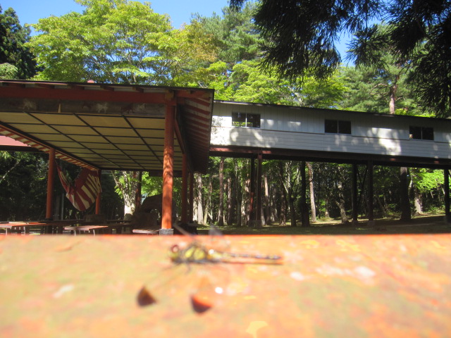 d0088735_0252350.jpg