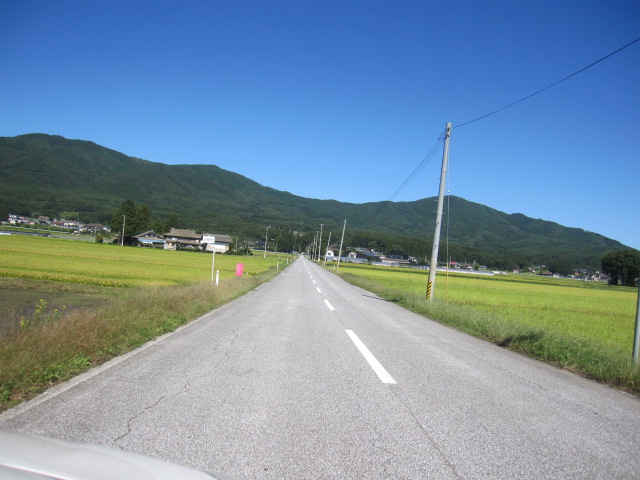 d0088735_0261511.jpg