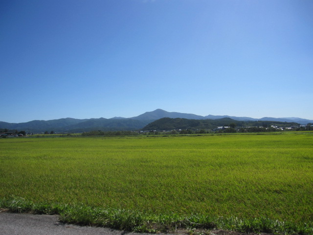d0088735_0264341.jpg
