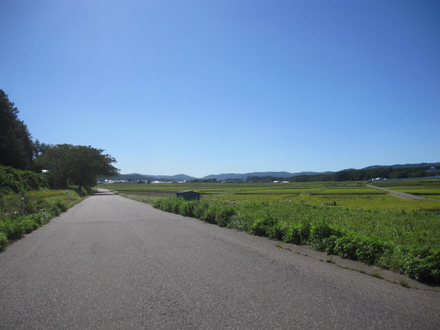 d0088735_028344.jpg
