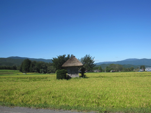 d0088735_0332994.jpg