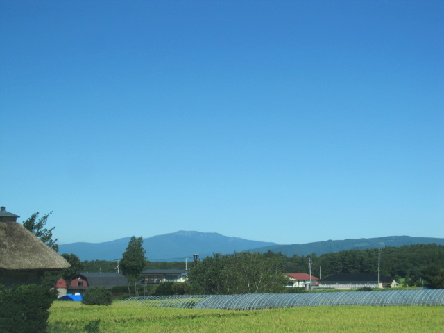 d0088735_0335387.jpg