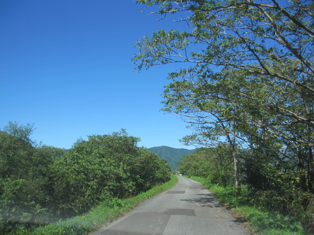d0088735_0355141.jpg