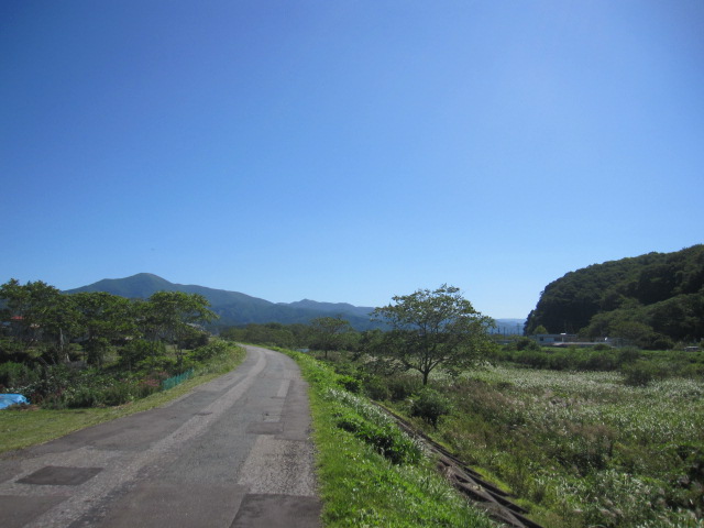 d0088735_0362061.jpg