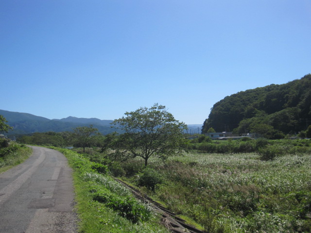 d0088735_03857100.jpg