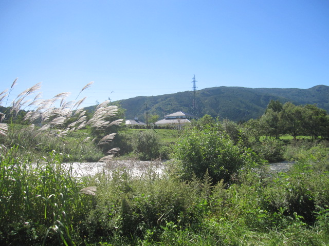d0088735_040172.jpg