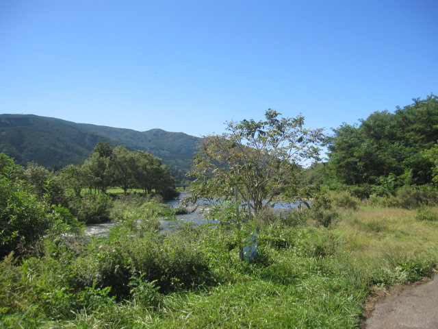 d0088735_0415986.jpg