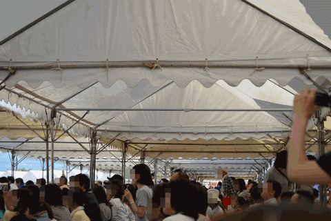 c0136736_1595194.gif