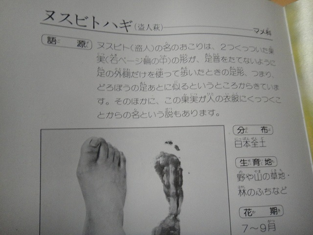 f0208737_8202860.jpg