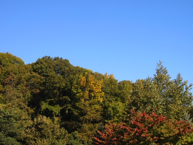 c0117239_1011262.jpg