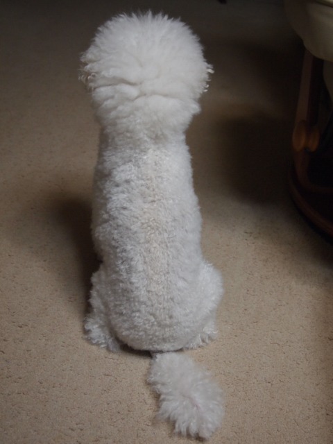 c0117239_10131514.jpg