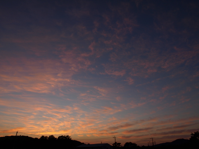 c0281841_9234537.jpg