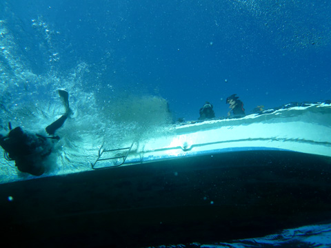 f0014842_1658469.jpg