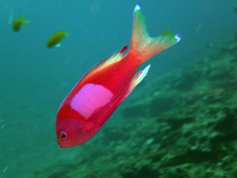 f0014842_16594289.jpg