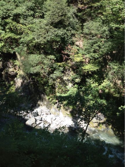c0206645_749216.jpg