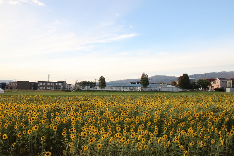 b0250154_20134291.jpg