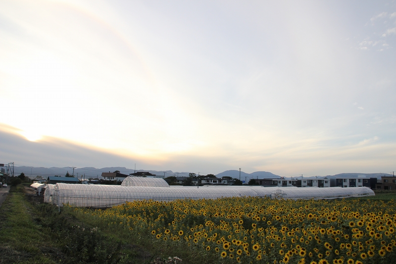 b0250154_20143864.jpg