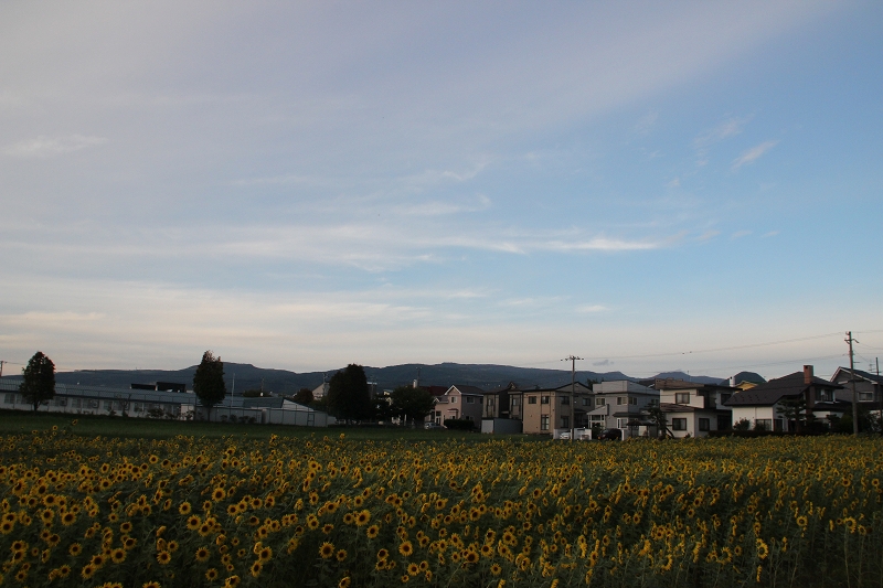 b0250154_20145464.jpg