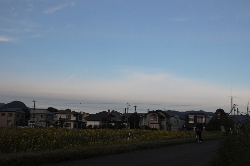 b0250154_2015586.jpg