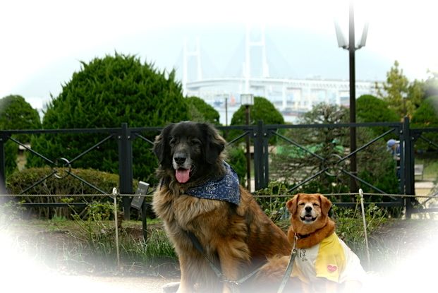 f0171559_1674272.jpg