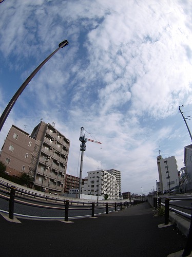 b0180764_11164680.jpg