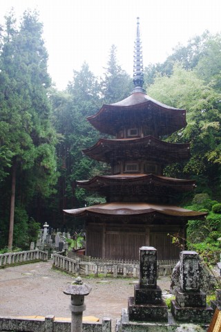 e0045768_22832.jpg