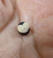 e0278968_2317477.jpg
