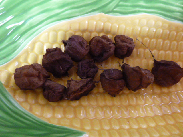 e0278968_2321182.jpg