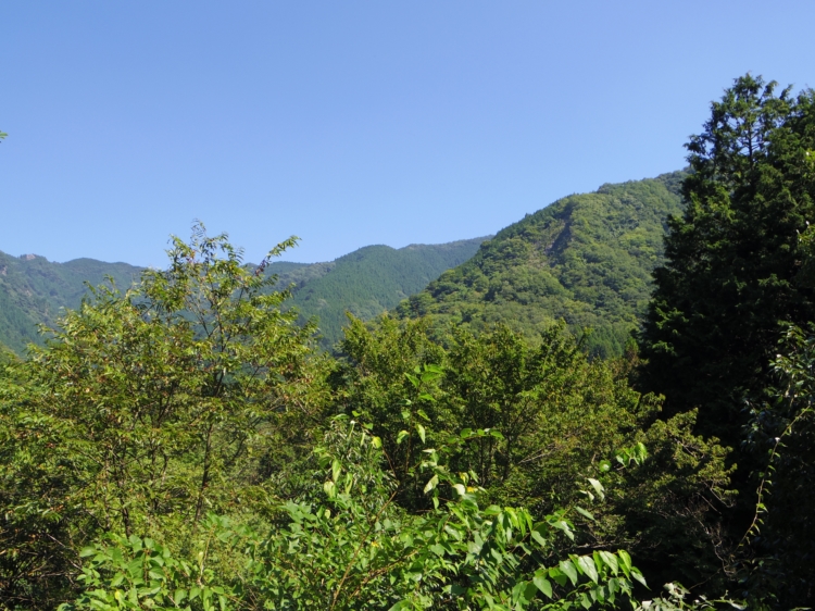 d0031171_8594941.jpg