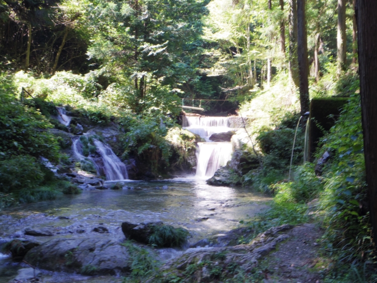 d0031171_963348.jpg