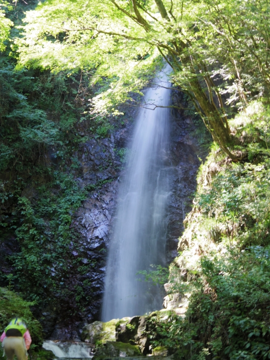 d0031171_983660.jpg