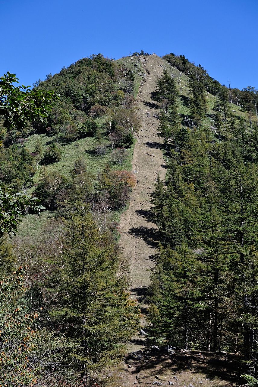 d0328977_23592979.jpg