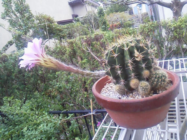 c0096582_23552239.jpg