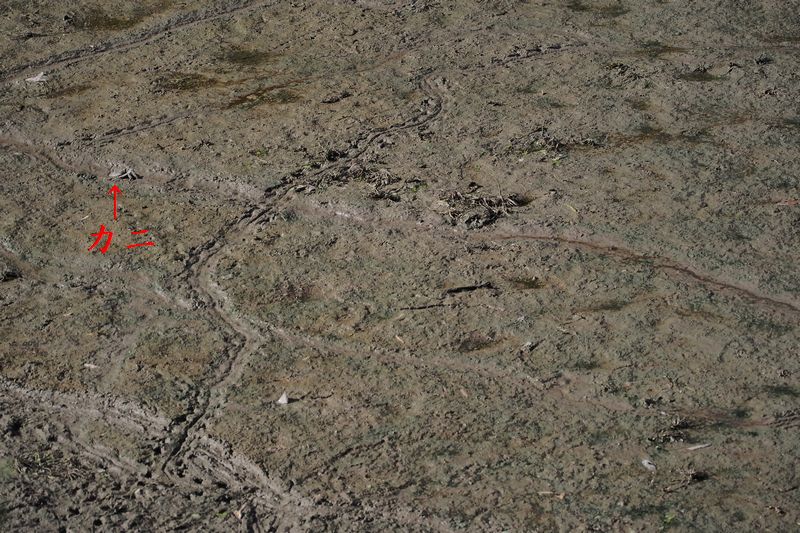 b0108186_2105827.jpg
